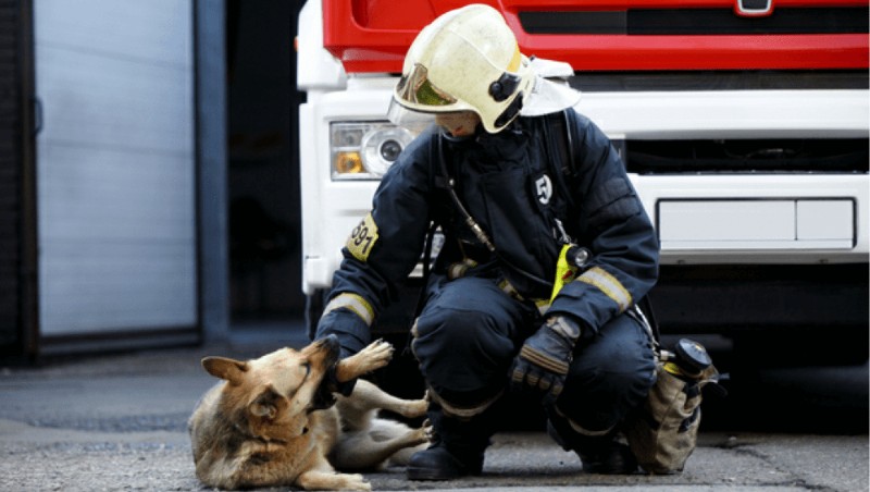 Fire Safety and Your Pets