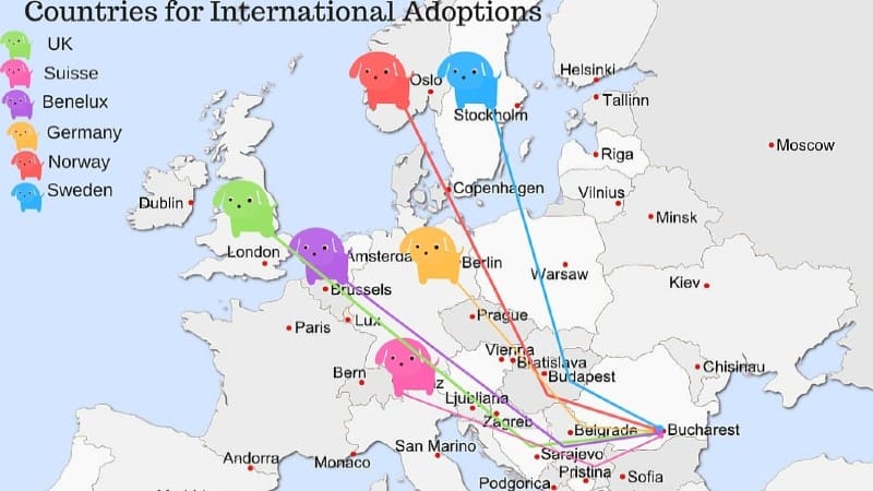 International adoptions