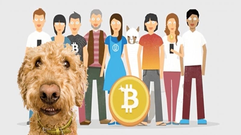 Give a dog a Bitcoin