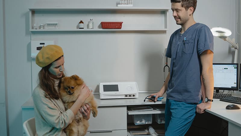The Frequency of Veterinary Checks for Dogs