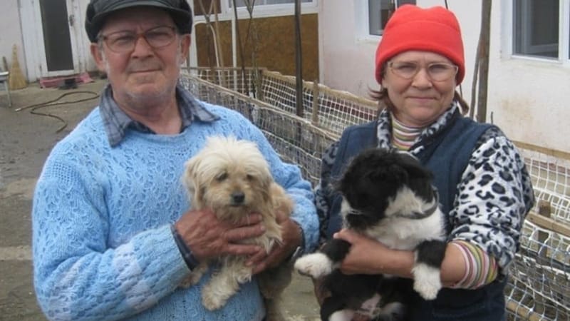 ROLDA helps poor communities pets to live with dignity