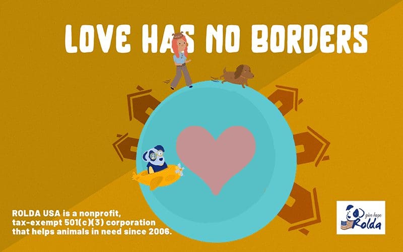 Discover more <br />
about ROLDA USA