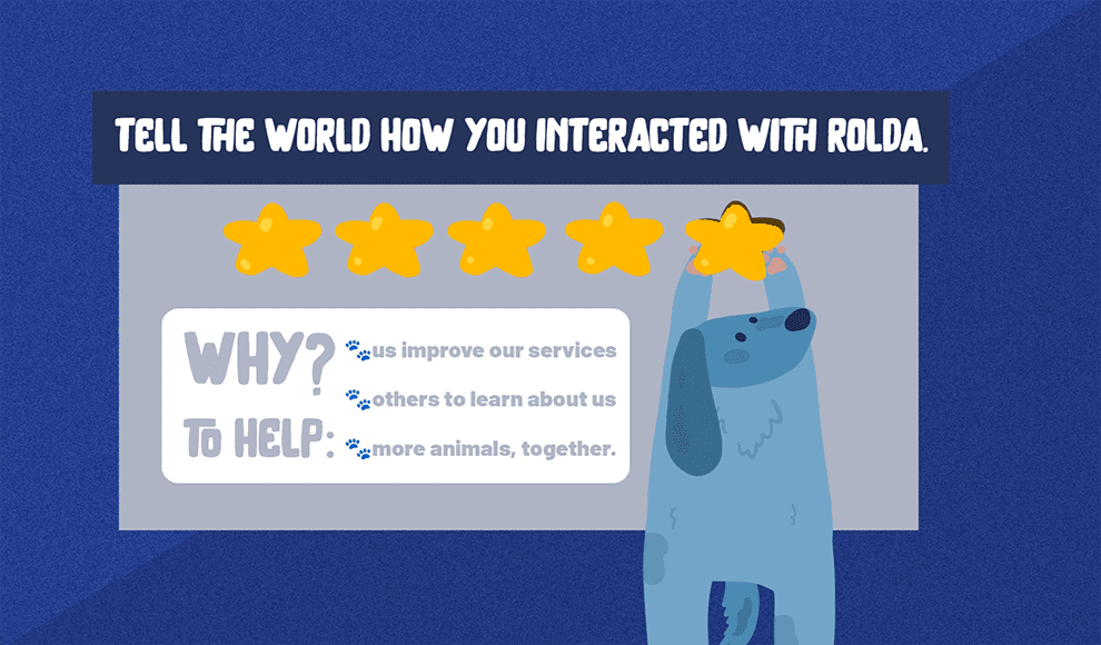 Tell the World how you interacted to ROLDA.