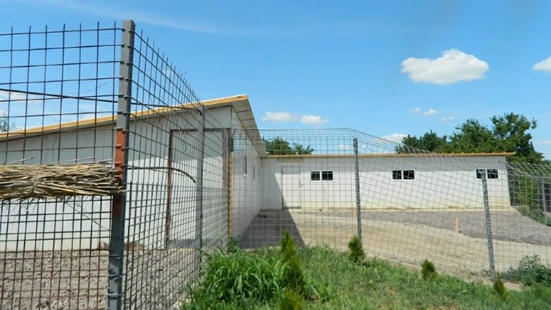 Shelter 1: Transform the small shelter