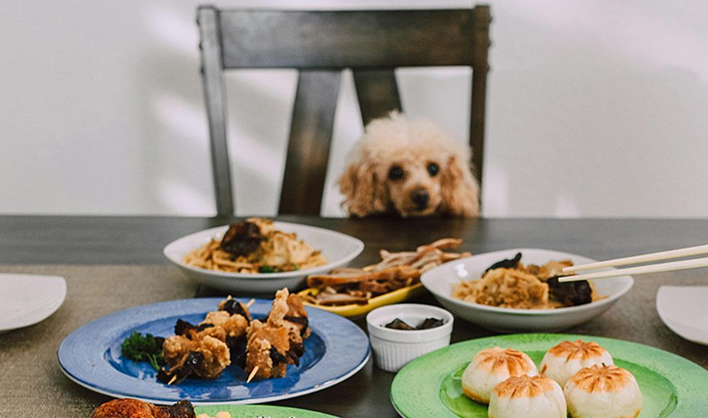 Chefs for Pets Kindred Kitchen (by ROLDA)