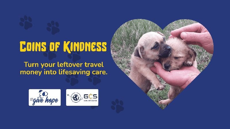 Coins of kindness
