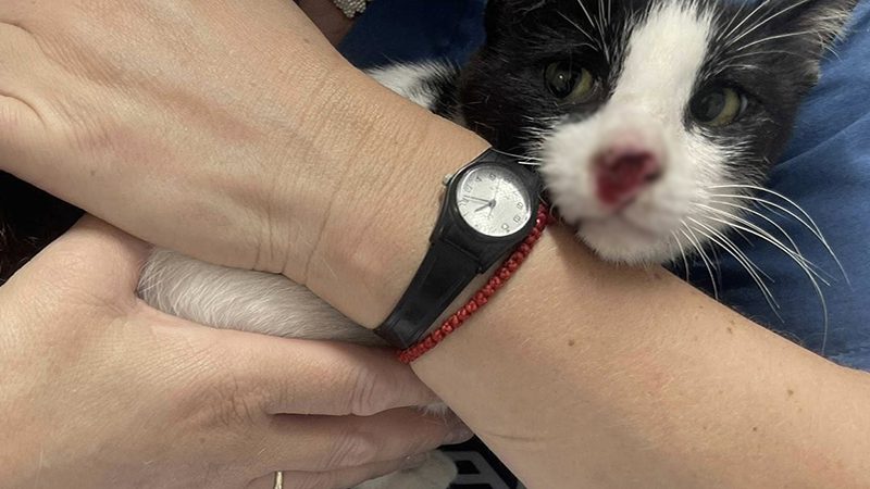 Mira's Fight for a Second Chance