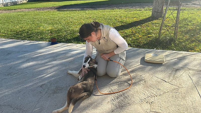 Maddy's Trip to ROLDA shelters