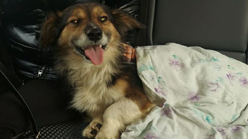 Left Behind: Pusha's Long Road Back