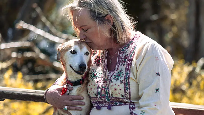 How Adoption Stories Inspire More People to Help Animals in Need