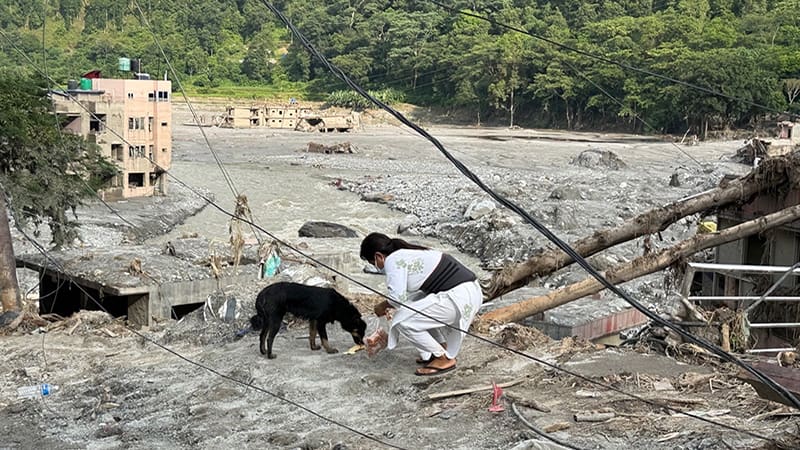 What You Did for the Animals of Nepal